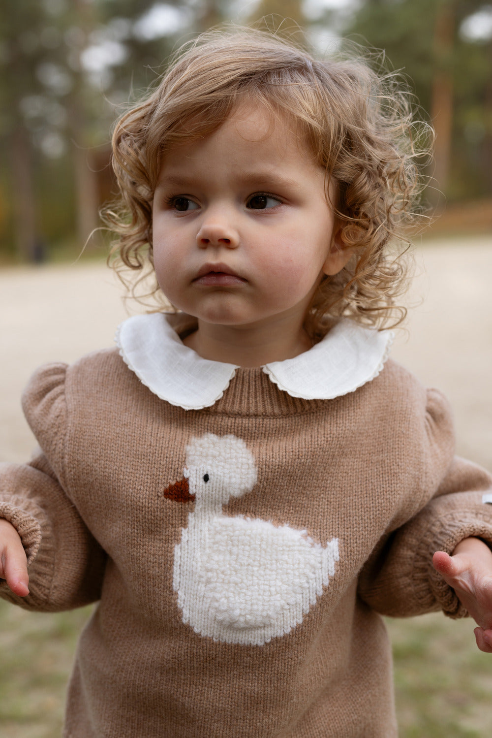 Denna Merinowollpullover Ente