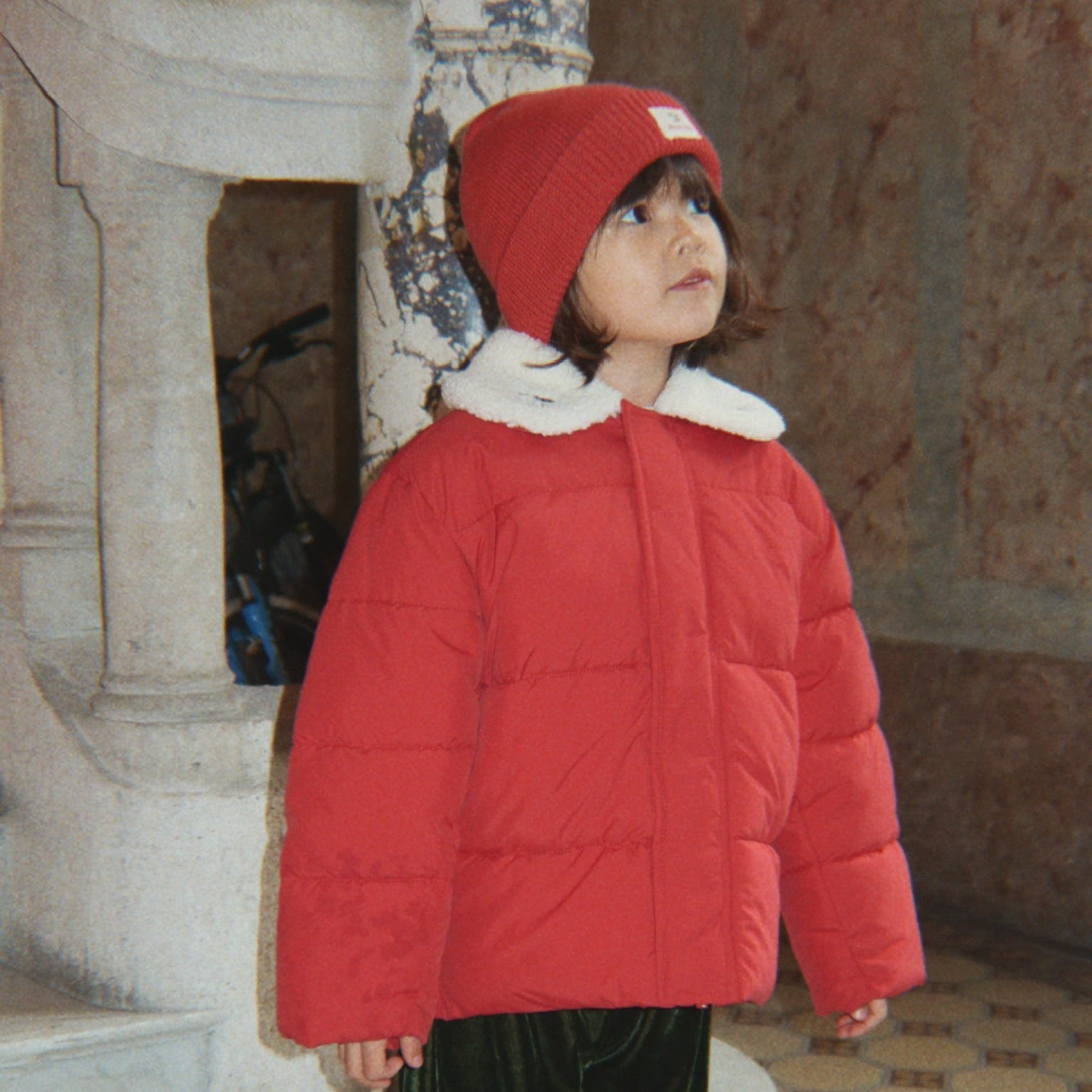 Winterjacke Kardinal